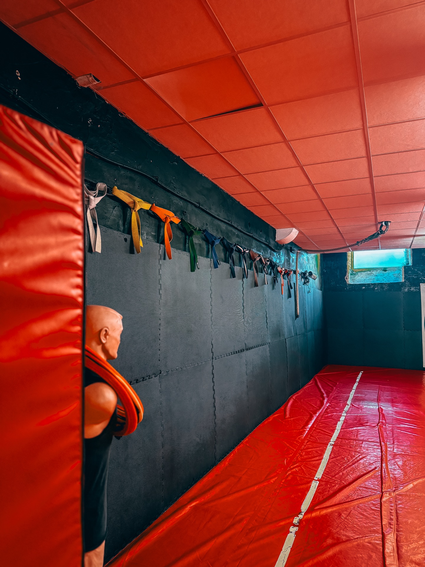 Coloured belts displayed on the dojo wall at Genjitsu — white to black